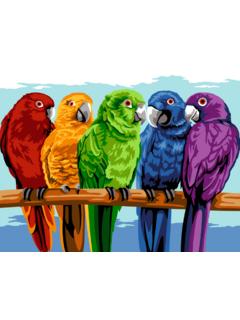 Προεσκόπιση είδους: Έγχρωμοι Παπαγάλοι | Πίνακας για Κέντημα